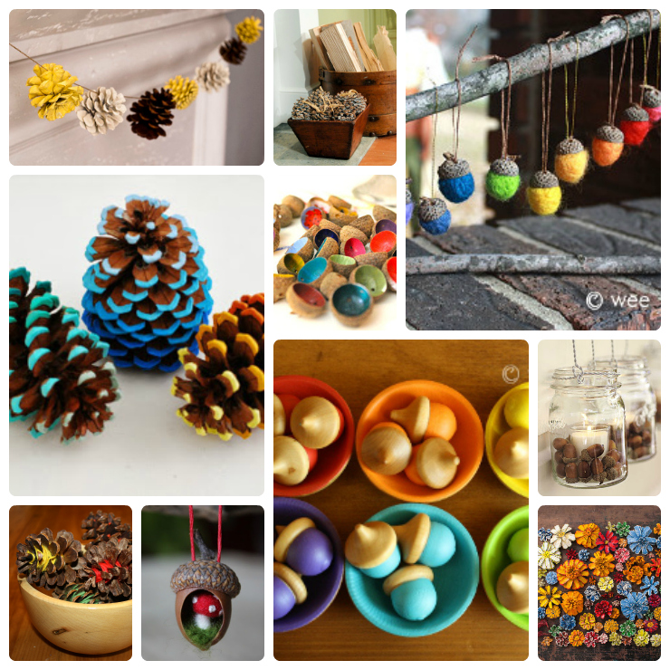 acornandpinecones
